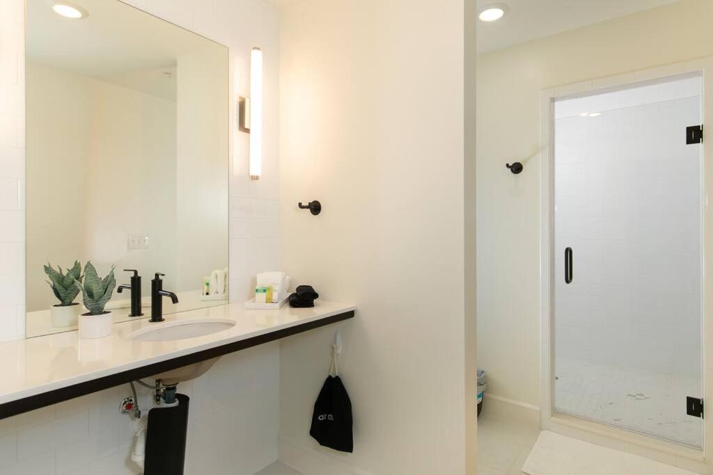 Apartment New Dt Bhm L 2 King Beds L Park Free L Walk Everywhere